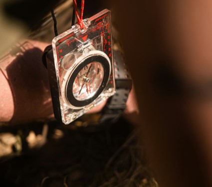 imparare ad usare la bussola/cartografia